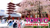 Khám phá chùa nổi tiếng nhất Tokyo Asakusa - Du lịch Nhật Bản | #japanvlog #explorejapan #4k