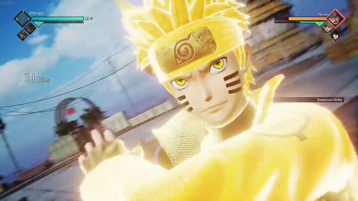The Secrets Of The Ninja