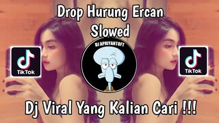 DROP HURUNG ERCAN SLOWED | DJ DROP HURUNG ERCAN VIRAL TIK TOK TEEBARU 2024 YANG KALIAN CARI !