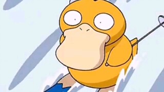 呆萌的鸭鸭又又来了😀😀