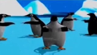 แพณกวิ๊ณ 🤩🤩😱😱😱🐧🐧🐧