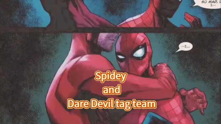 Spidey and dare devil Tag team