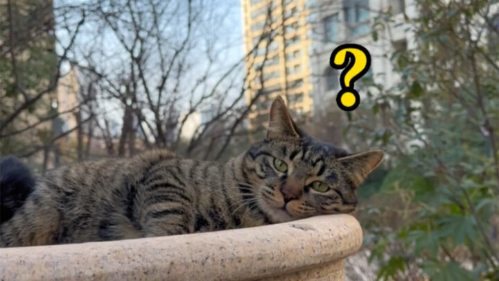 مفتاح الخادم الخاص بياوياو اختفى...