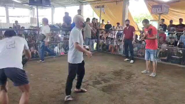 panalo na sana natalo pa