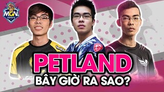 PETLAND - Chúa Tể Đường Giữa LMHT Giờ Ra Sao | MGN eSports