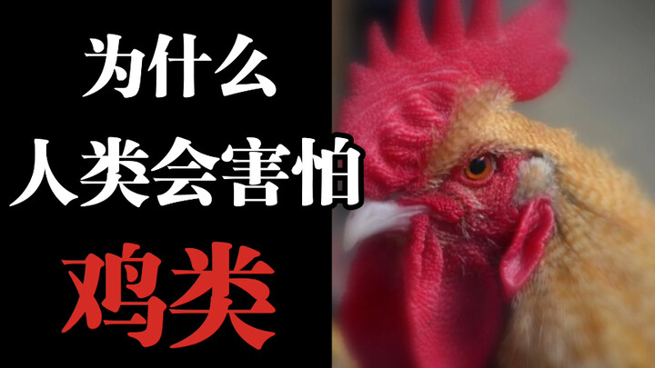 No haters allowed! Why are humans afraid of chickens? What exactly causes this fear? — The Science B