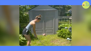 Đóng Tiền Mạng Thì Phải Xem Cái Này p62 #ChuaHe