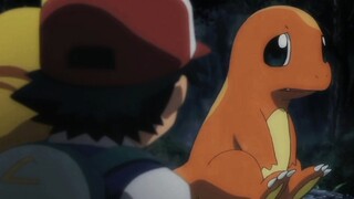 Charmander, người bị bỏ rơi vì sự yếu đuối của mình, phản công! Đừng bắt nạt Thiếu Long phải nghèo! 