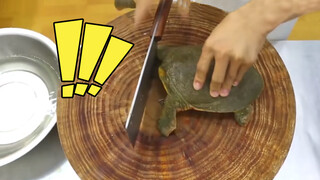 【Run Back】 Rescue Turtle!