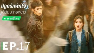 ตอนที่ 17