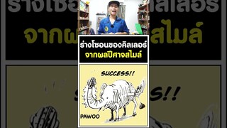 ร่างโซอน ของคิลเลอร์ จากผลปีศาจสไมล์ -วันพีช [KOMNA CHANNEL]