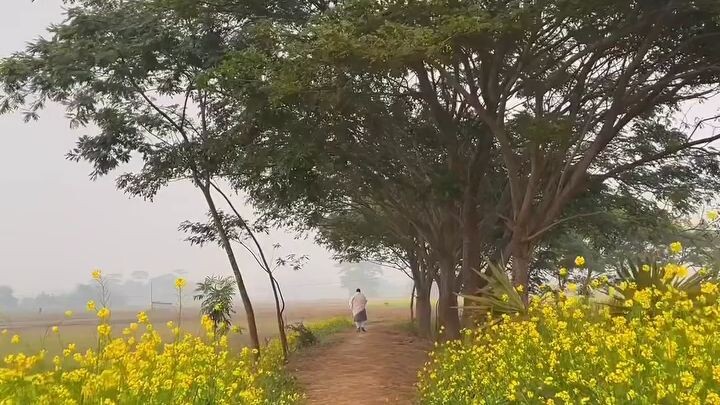 শীতের স্নিগ্ধতায় আচ্ছন্ন সকাল