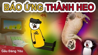 Gấu Đáng Yêu: BÁO ỨNG THÀNH HEO | Phim gấu hài hước kinh dị