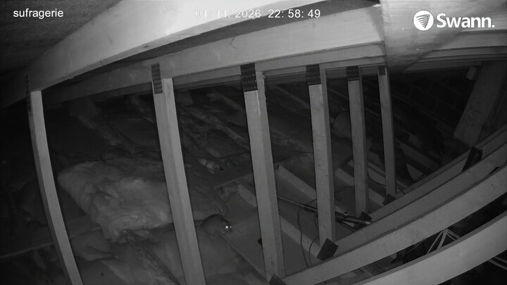 RAT3 - 20260111-225843-225859-000002000000