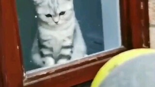 Sharing this with lovely and funny pet owners