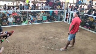 Win and loss ulit🤔