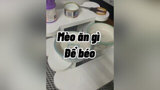 🥲🥲🥲🥲 ăn tối nàooo mèo cute