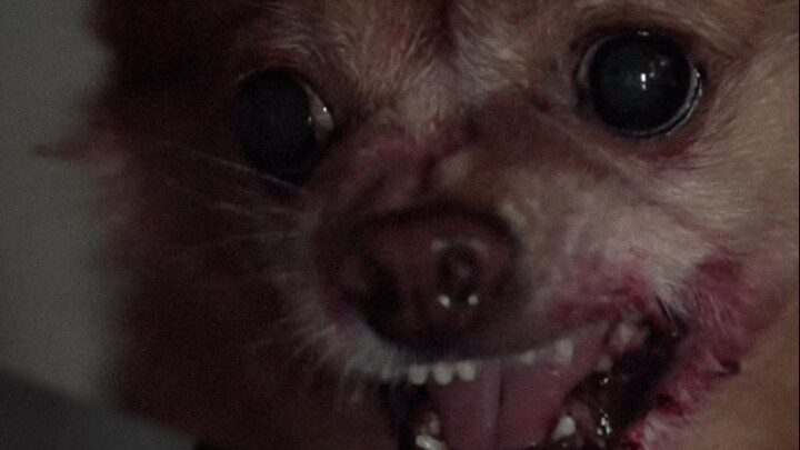 Tantangan membuat iklan CCTV dengan gaya film misteri