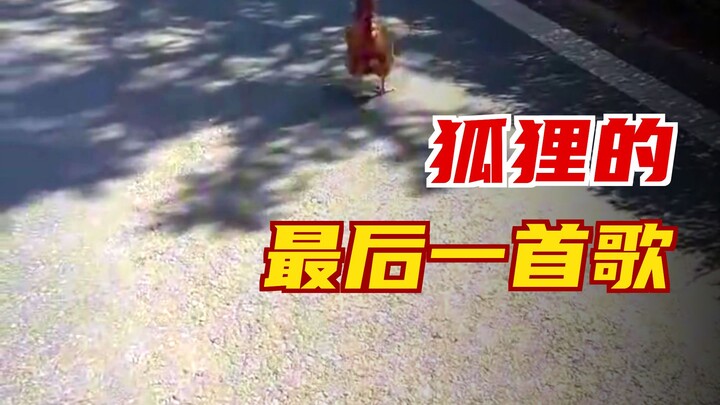 Những loài động vật này còn có thể cứu được không