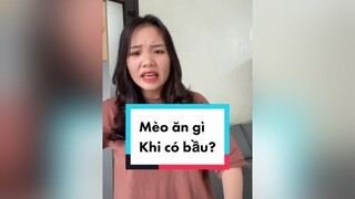 Chắc cho nó ăn nhiều nên nó yêu mình hơn, hôm nào cũng ra nằm lòng đòi vuốt ve mèo cat thaomeo tiktokshop patemeo