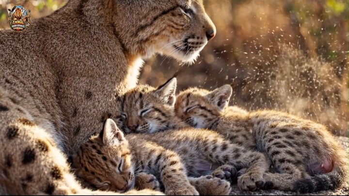3 One Day in the Savannah Every Shadow Means Danger#NatureDocumentary #AIWildlif