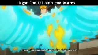 Ngọn kửa tái sịn của Marco #anime