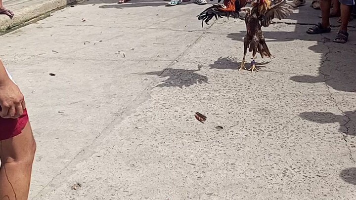 nasira ng tagalog
