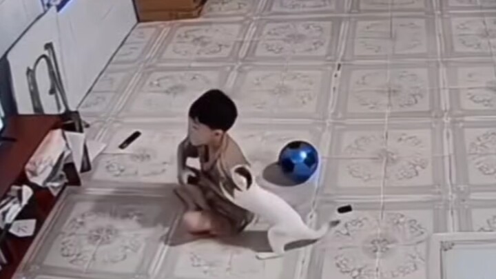 Cat Lover Mini Collection (Part 2)