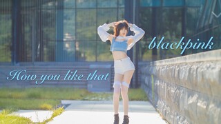 【双猫】❤️How you like that❤️粉墨新歌超A全曲翻跳 (*ﾟ∀ﾟ)=3『你瞅瞅你』