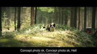 Dog Days Korean Movie