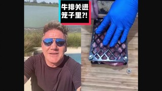 【Gordon Ramsay】Hell's Kitchen's Sharp-tongued Criticism: Steak Cage #YYY Subbing Team#