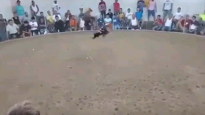 Hack fight...