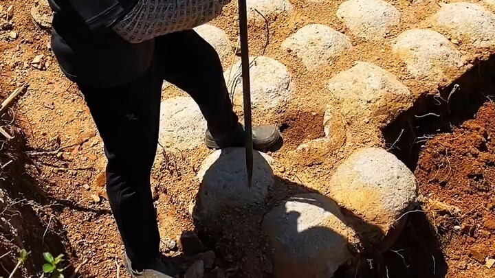 💀😱¿Qué guardan estas misteriosas vasijas de China?😳