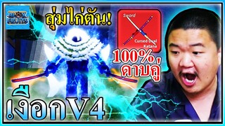 สุ่มไก่ตันดาบคู่ 100% ได้เผ่าเงือกV4 - Blox Fruits 🧜‍♂️