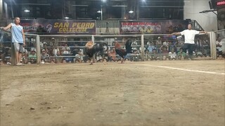 Dalusapi Vs Mayahin win