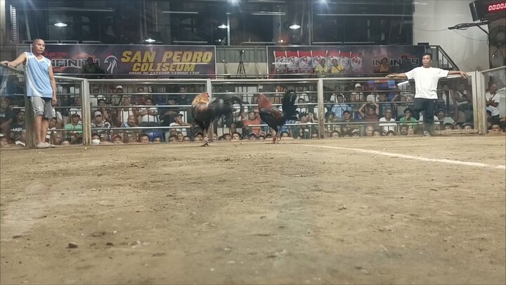 Dalusapi Vs Mayahin win