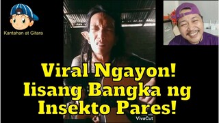 Viral Ngayon Iisang Bangka ng Insekto Pares! 😎😘😲😁🎤🎧🎼🎹🎸