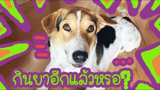 โลกของแสนดี ตอน ถึงเวลากินยาอีกแล้ววว!!