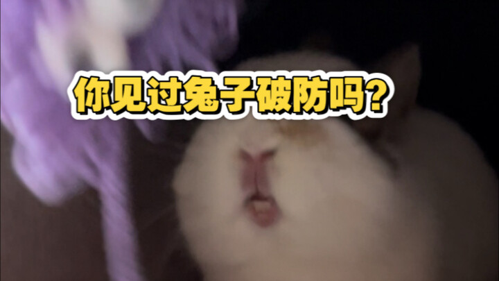 กระต่ายน้อยก็จะเสียใจเพราะของหน้าตาไม่ดีด้วยเหรอ?