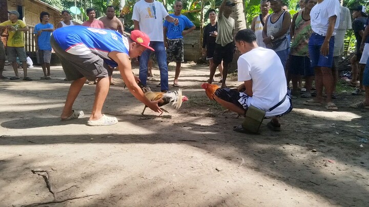 fun run 3x winner talisayin