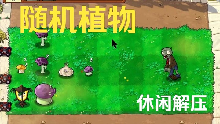 头次玩植物大战僵尸卡第二关（随机植物）