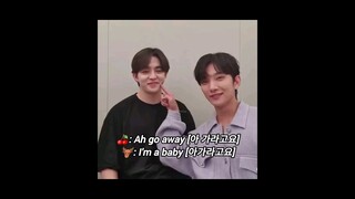 They're so adorable 🥰 #seventeen #scoups #joshua