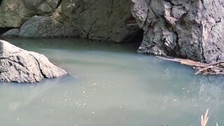 ธรรมชาติบำบัด