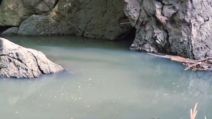 ธรรมชาติบำบัด