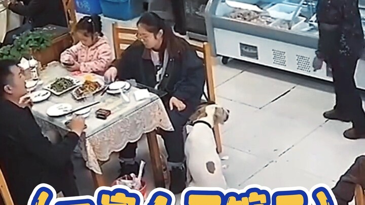 Doggy: Is there still a share for me?