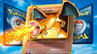 20 ans pour devenir le ROI des CARTES POKEMON