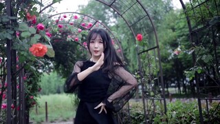 [President Fei] Little Deer is Running Wild-I Want to Be Your Girlfriend