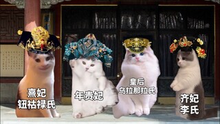 Mengisahkan Kehidupan Zhen Huan dalam Sejarah dengan Meme Kucing (Bagian 1)