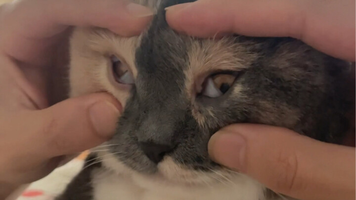 Mengapa dia begitu sombong dan arogan?