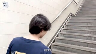 尹净汉：我家pabo会自己看情况跟过来的
